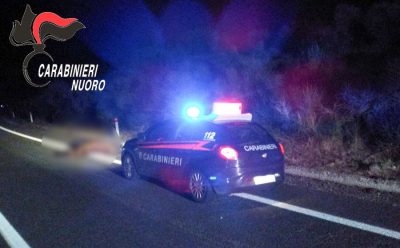 Pattuglia dei Carabinieri davanti al corpo dell'animale