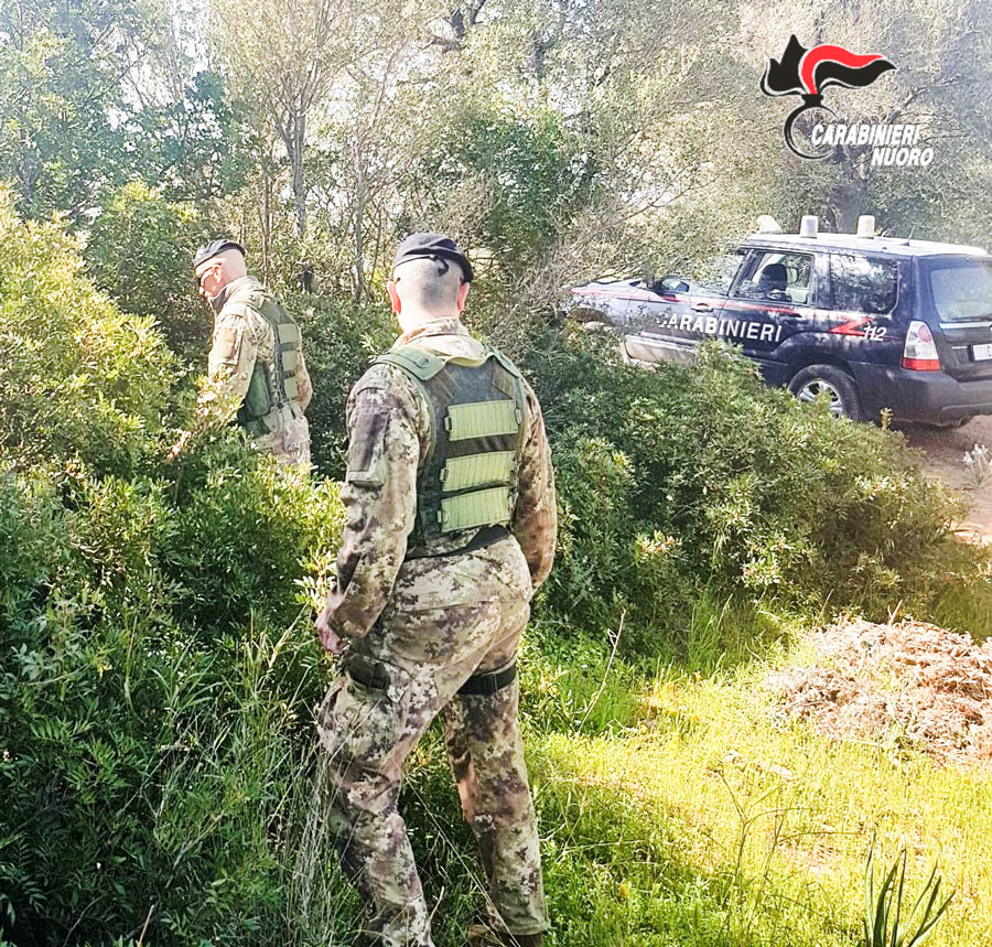 Si perdono nel Golgo: quattro escursionisti ucraini salvati dai Carabinieri