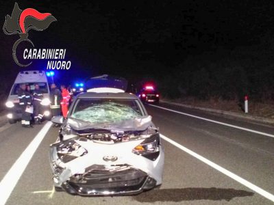 L'auto distrutta dopo l'impatto con l'animale