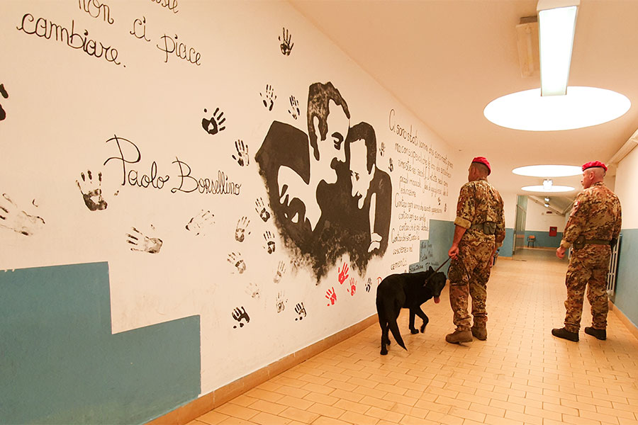 Operazione “Scuole sicure” : il cane Kira scova 10 grammi di marijuana