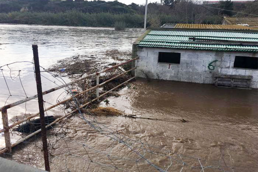 Maltempo. Esonda il Rio Mannu  a Porto Torres: chiuse strade  e allagate abitazioni e aziende