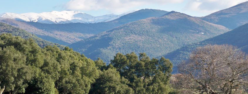 600 mila euro in arrivo per il territorio dalla Comunità Montana Gennargentu Mandrolisai