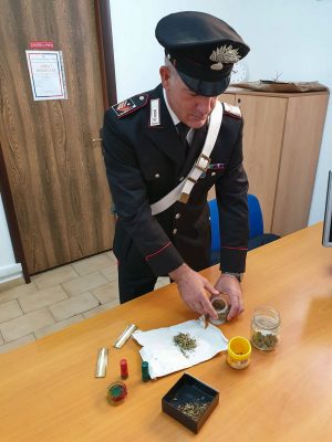 La marijuana rinvenuta