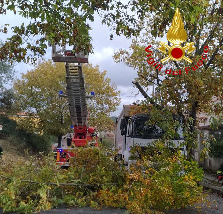 Maltempo. Il tronco di un albero si spezza e travolge un mezzo della nettezza urbana al lavoro