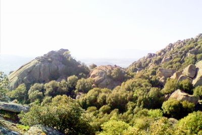 Ollolai: il parco di San Basilio