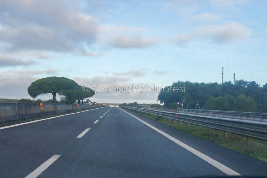 ANAS. Limitazioni notturne al traffico sulla 131 per taglio alberi a bordo strada