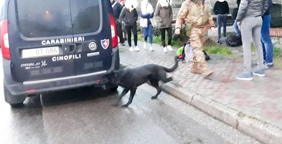 Controlli antidroga nelle scuole: segnalati 4 giovani e sequestrate marijuana e hashish