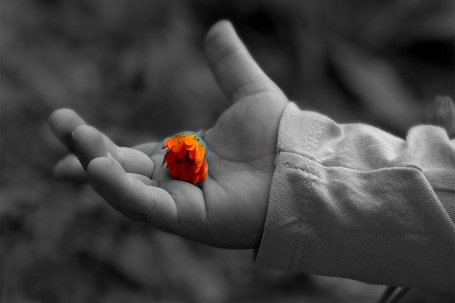 Italia. In arrivo 12 milioni per garantire un futuro agli orfani delle vittime di femminicidio