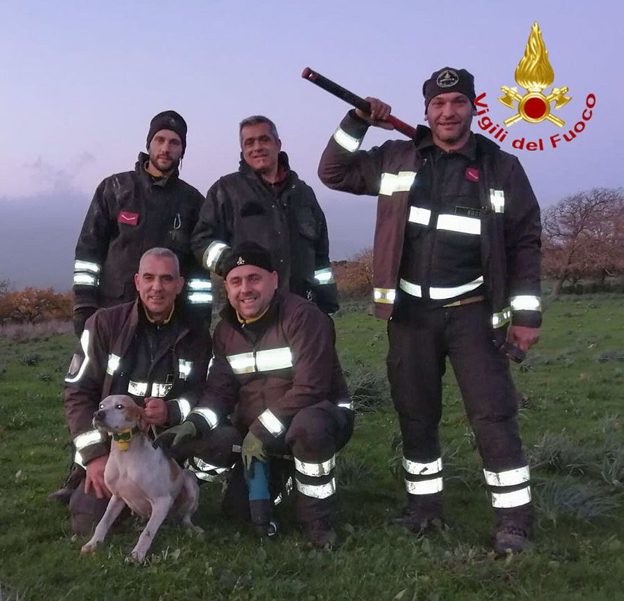 Si incastra in un cunicolo mentre insegue una preda: cane da caccia salvato dai Vigili del fuoco