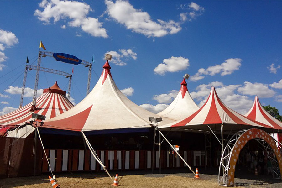 Nuoro. Il consiglio comunale bandisce il circo dalla città