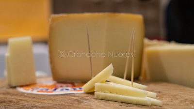 L'Isola buona e la terra dei tesori - i formaggi (foto S.Novellu)