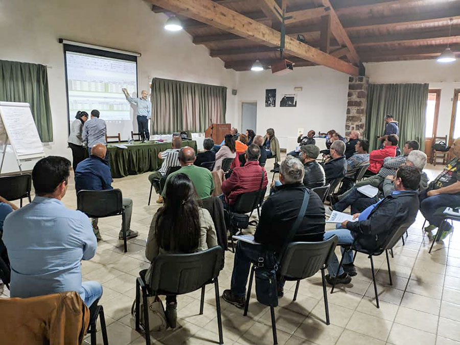 Il gruppo regionale consiliare del PD esprime solidarietà ai lavoratori di Forestas