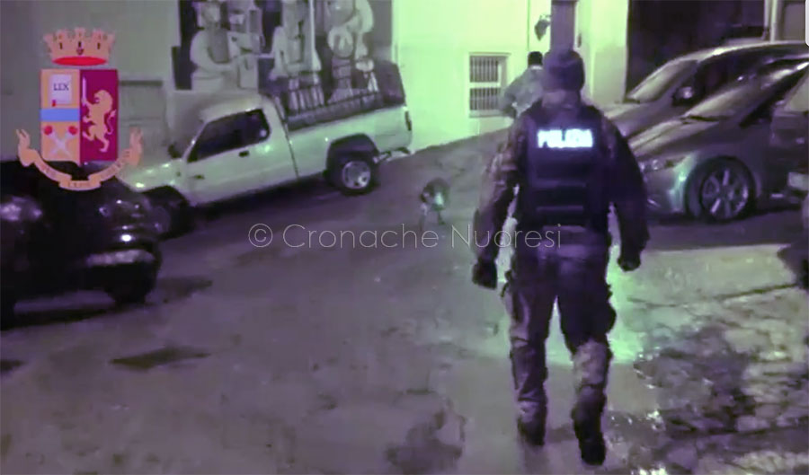 Rubavano auto e rinvestivano in piantagioni di marijuana: nove persone nei guai tra Orgososlo, Fonni e Ollolai – VIDEO