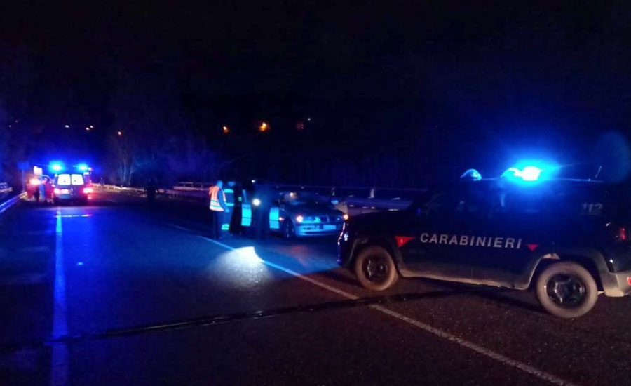 Cavallo incustodito attraversa la strada: travolto e ucciso da un’auto