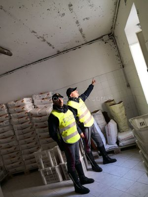 L'ispezione in panificio