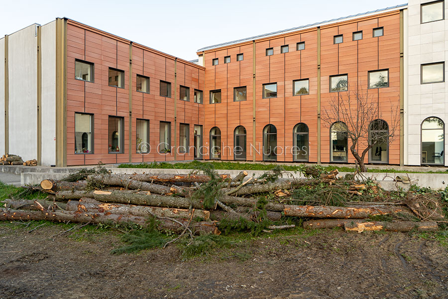Nuoro. Al posto degli alberi pericolanti, nella sede dell’AREUS, nascerà un parco cittadino