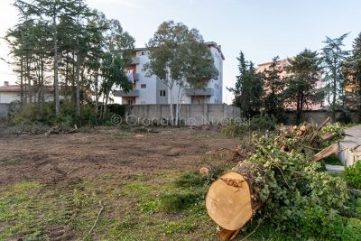 Nuoro, lavori di disboscamento nel parco dell'AREUS (foto S.Novellu)