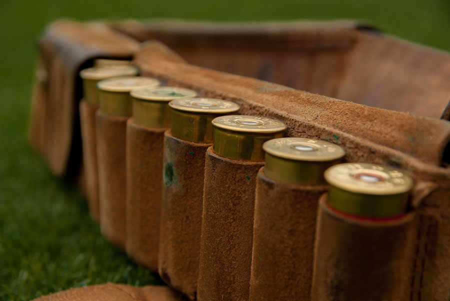 Lite tra un cacciatore e un proprietario terriero: investito un cane, minacce e pugni