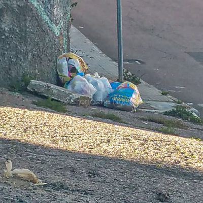 Alcuni dei rifiuti abbandonati in via Martiri della Libertà