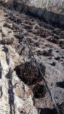 Danni dell'incendio e Posada