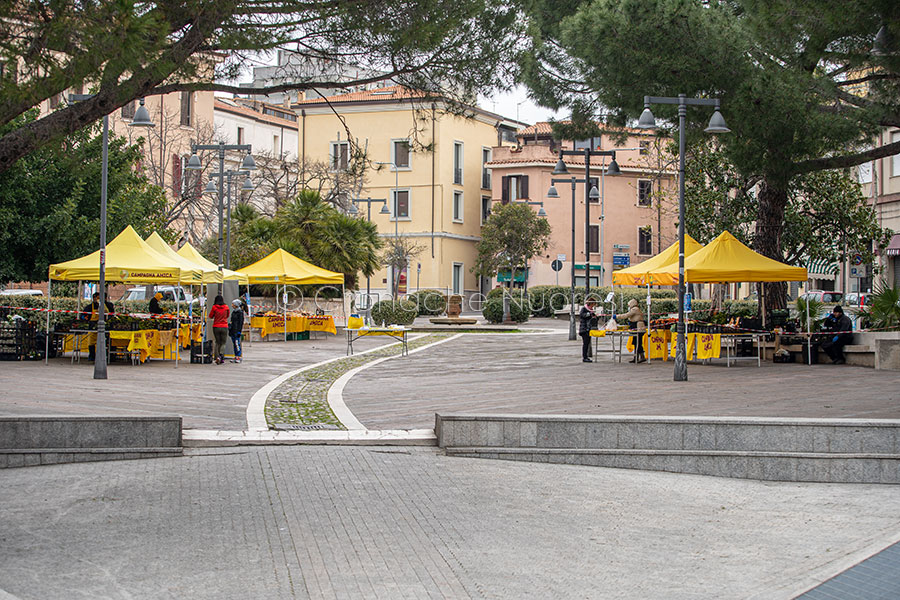 Coldiretti:  In tre anni i clienti di Campagna Amica crescono del 46%