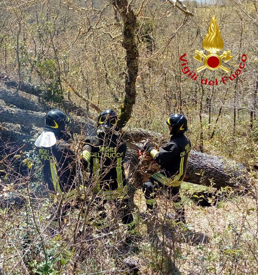 Tragedia a Lodine. 60enne travolto e ucciso dall’albero che stava abbattendo