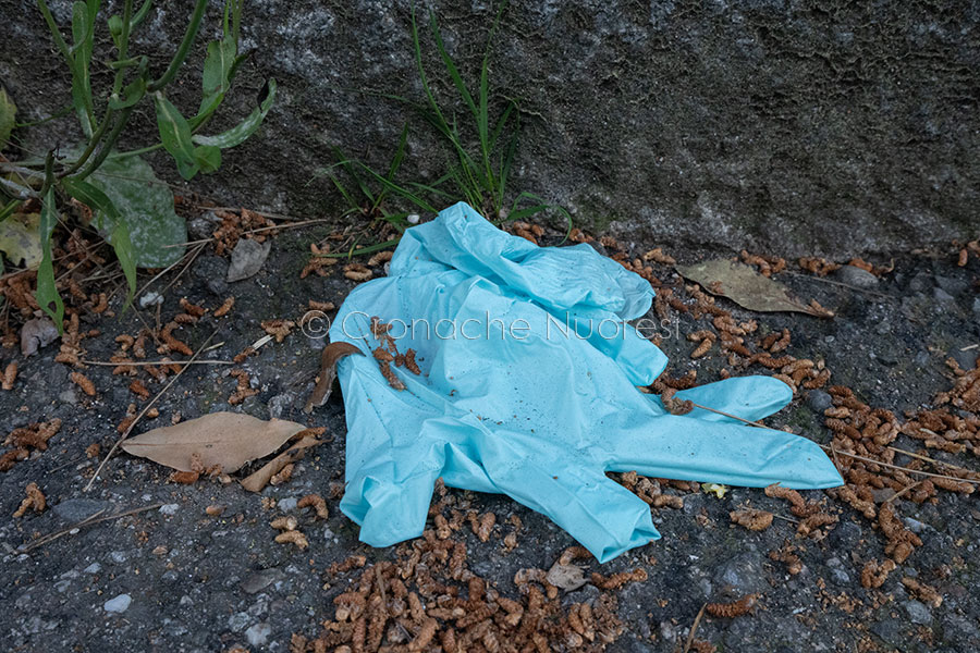 Coronavirus. Lopalco: “No all’utilizzo obbligatorio di guanti. Più dannosi che utili se utilizzati impropriamente”