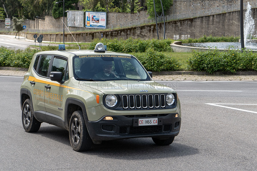 Festività pasquali: appena 15 sanzioni su oltre 1400 persone controllate