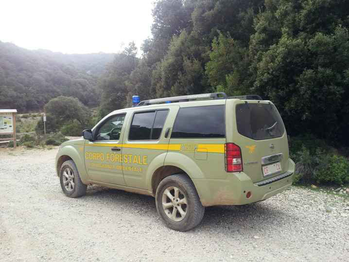 Nuorese.  Attentato incendiario contro due forestali: a fuoco le loro due auto