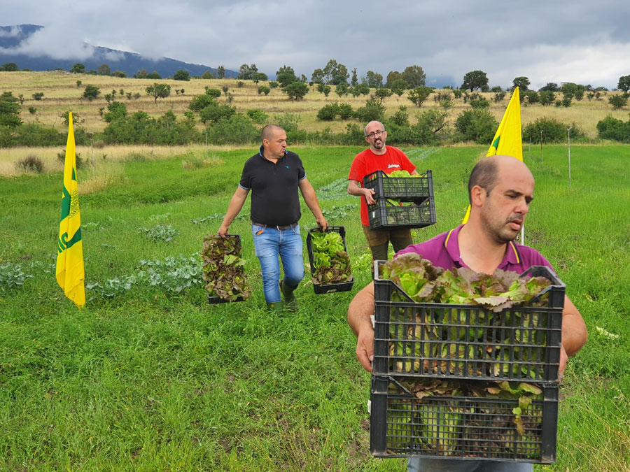 Agricoltori  del Nuorese messi in ginocchio dalle cavallette donano i loro prodotti alla Caritas