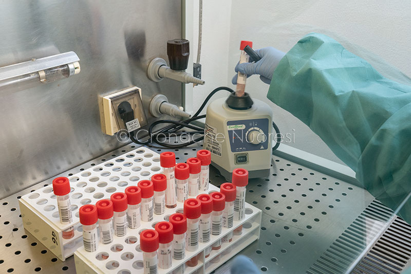 Preoccupano i contagi a Bortigali: a oggi 38 positivi e 50 persone in quarantena