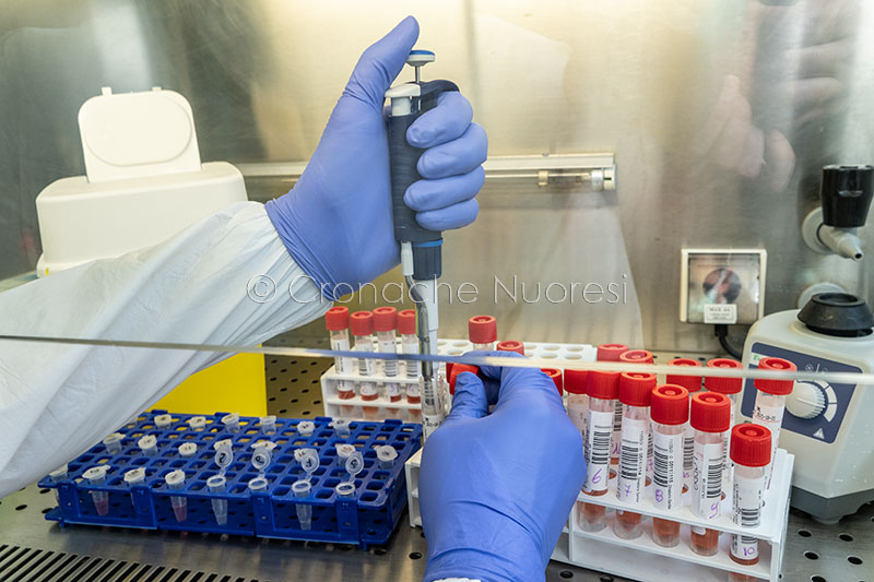 Coronavirus. Test sierologici per il personale scolastico: cosa fare se il medico di famiglia non aderisce