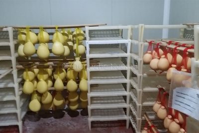 I formaggi dell'imprenditore Gavino Guiso (f. P.G.Vacca)