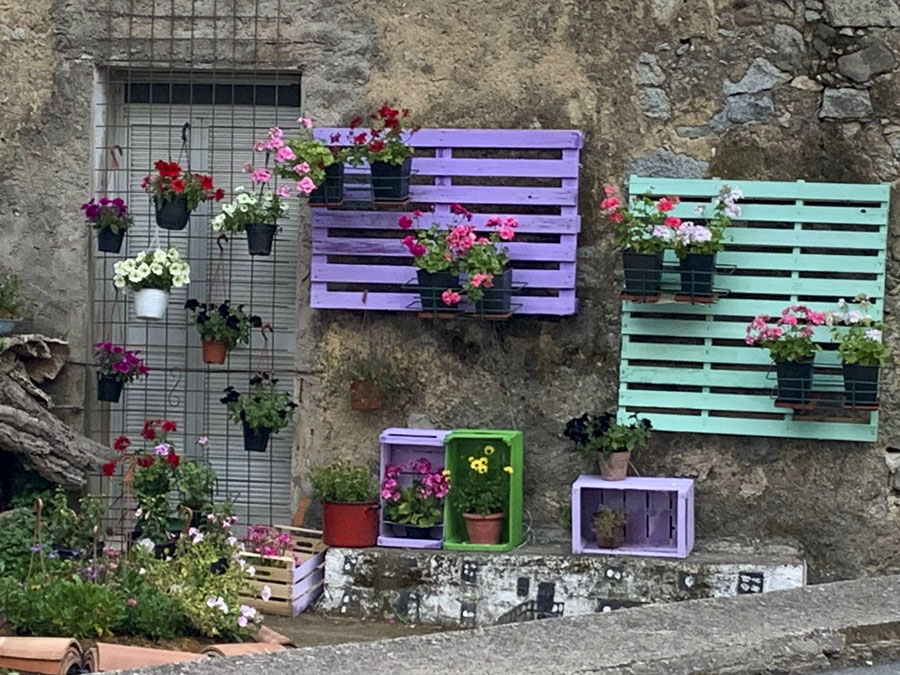 Bitti. Grande successo del progetto  “Sa lilla, sa viola, su giranu”:  i fiori ravvivano gli scorci del paese