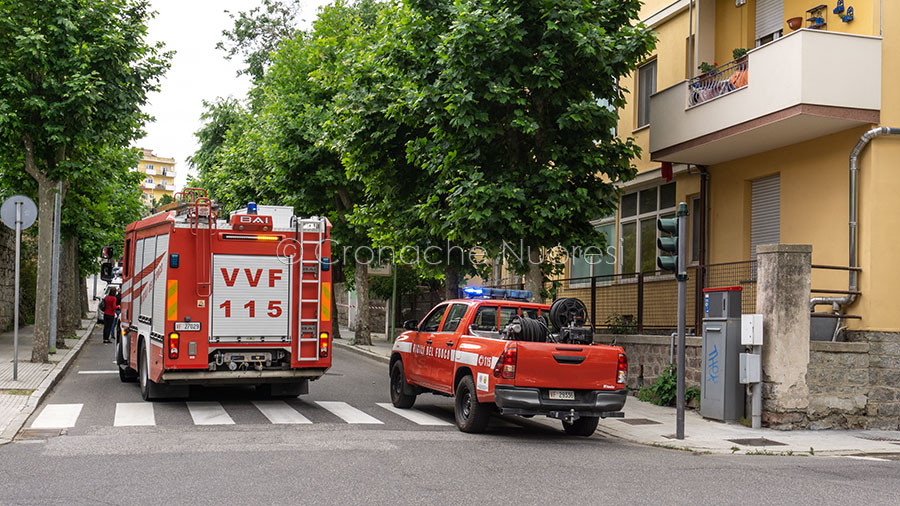 Rami pericolanti in via Piemonte intervengono i Vigili del Fuoco