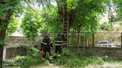 I Vigili del fuoco durante l'intervento in via Piemonte (foto S.Meloni)