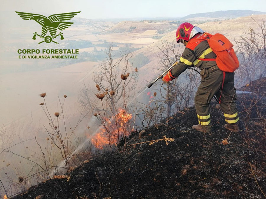 Incendio a Ghilarza: interviene l’elicottero della Forestale