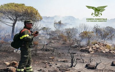 Incendio nelle campagne di Luogosanto