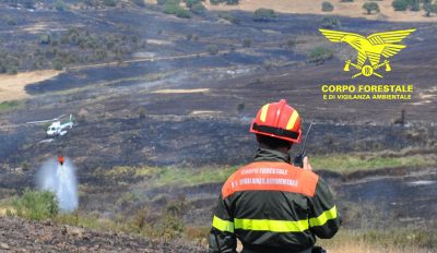 La Forestale dirige le operazioni antincendio.jpg