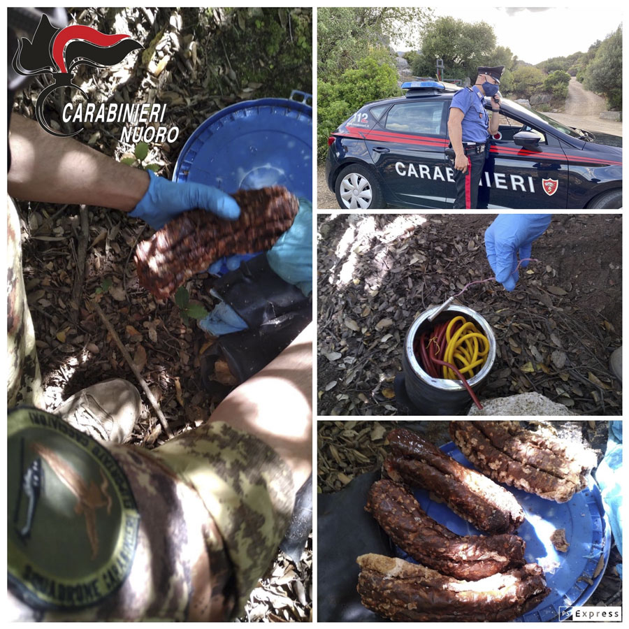 Ogliastra:  ritrovati  in aperta campagna candelotti, miccia e polvere da sparo – Video –