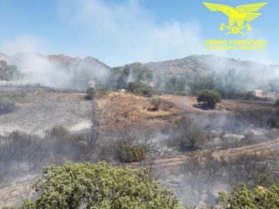 Incendio a Orose