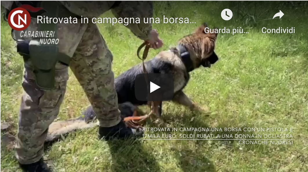 Ritrovata in campagna una borsa con 17mila euro e una pistola: i soldi appartengono a una donna rapinata in Ogliastra