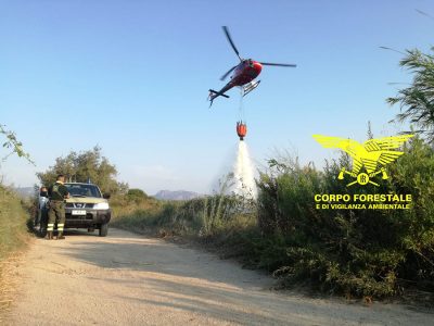 Un intervento del Corpo forestale nelle campagne di Bono