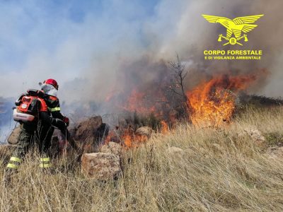 Il Corpo forestale impegnato in un incendio