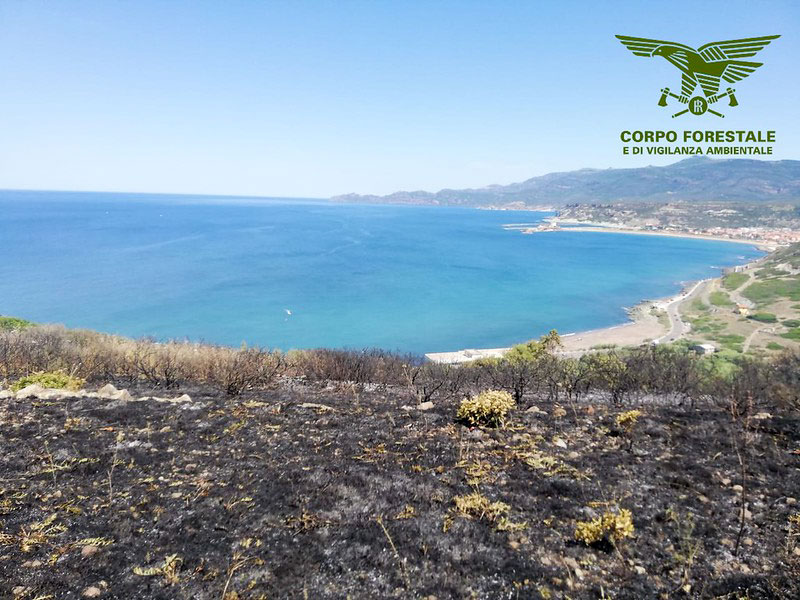 Incendio a Bosa.  In fumo 2 ettari di macchia mediterranea