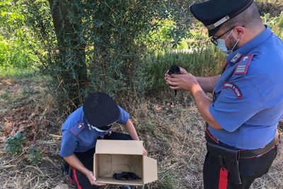 I cuccioli salvato dai Carabinieri