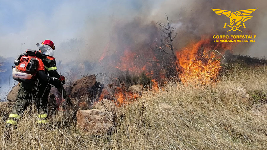 Vasto incendio nelle campagne di Bono: sul posto 4 elicotteri e forze anticendio a terra