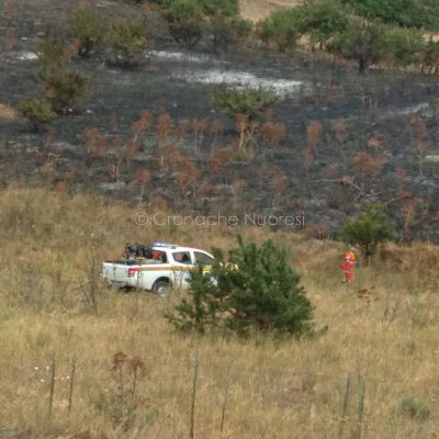 La Protezione Civile in campo nelle operazioni di spegnimento