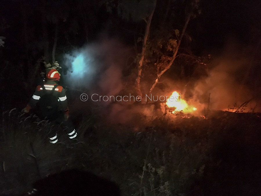 Piromani ancora in azione a Nuoro: incendio nella notte alla pineta di Ugolio