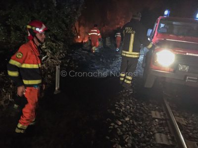 Le forze antincendio in azione alla pineta di Ugolio